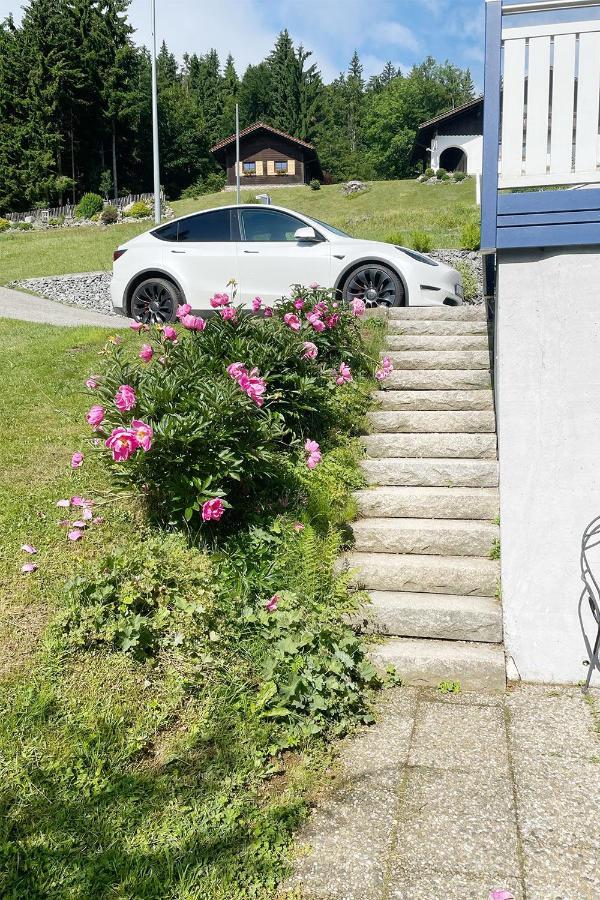 Haus Waldblick Apartman Philippsreut Kültér fotó